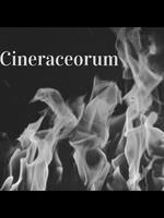 Cineraceorum