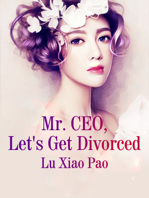 Mr. CEO, Let's Get Divorced